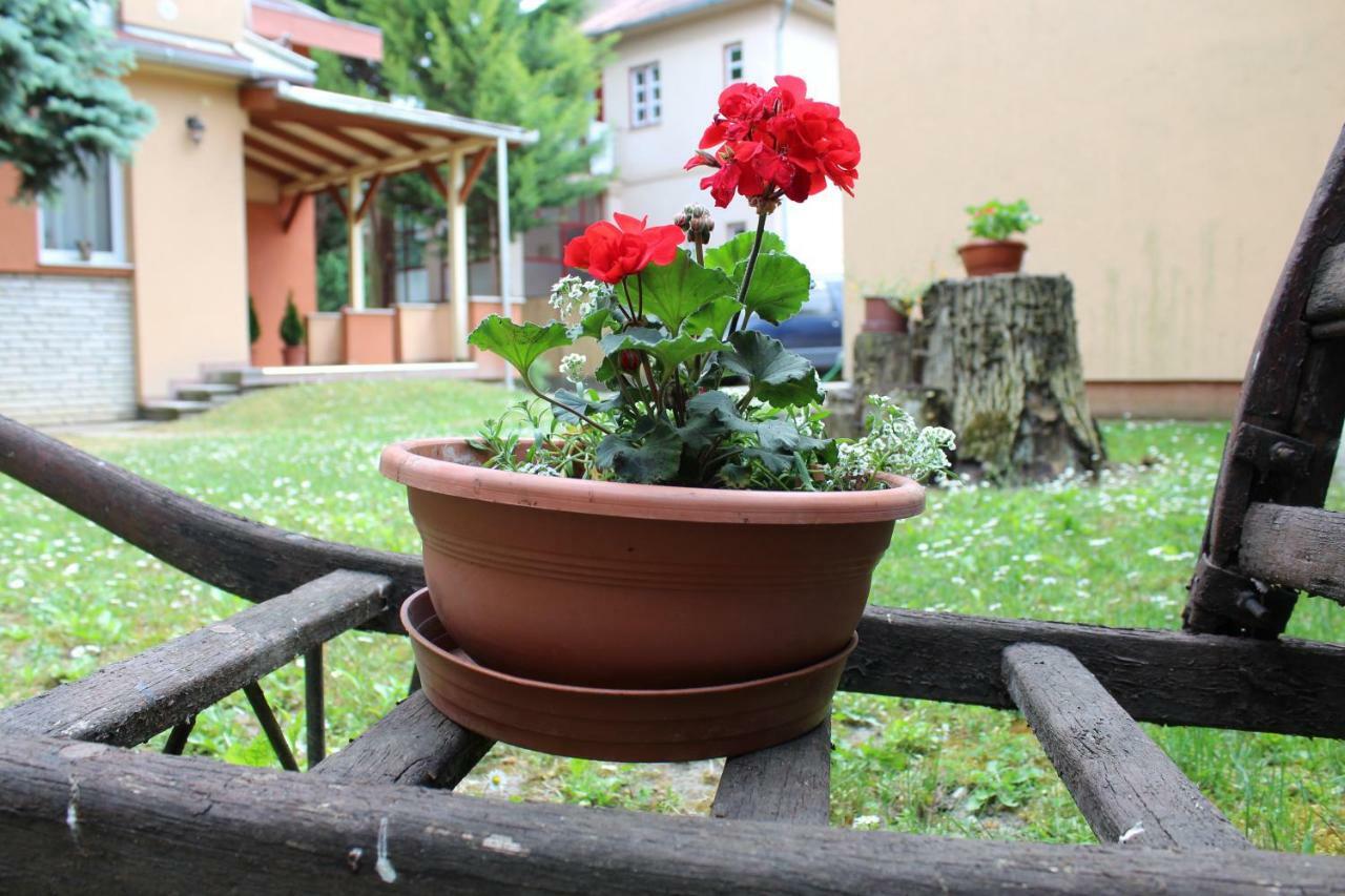 Strigonia Apartman Esztergom Exterior photo